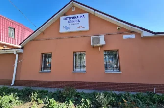 Ветклініка на Робочій у Дніпрі: адреса, контакти та графік роботи