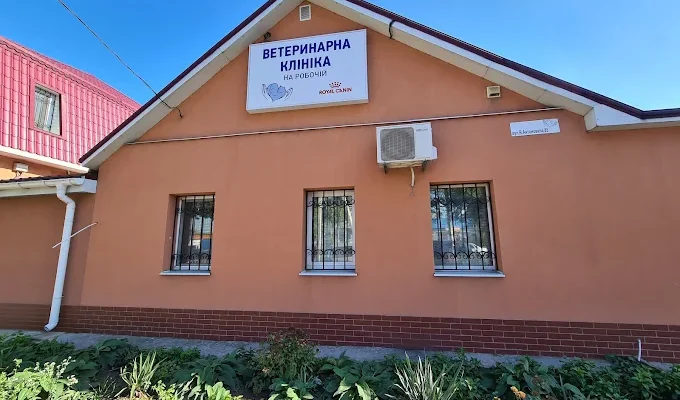 Ветклініка на Робочій у Дніпрі: адреса, контакти та графік роботи